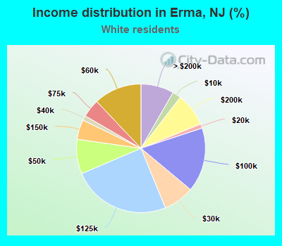 Income distribution in Erma, NJ (%)