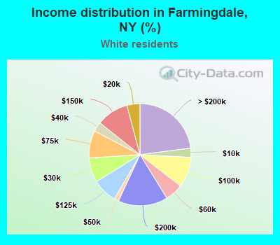 Income distribution in Farmingdale, NY (%)