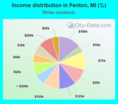 Income distribution in Fenton, MI (%)