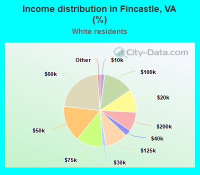Income distribution in Fincastle, VA (%)