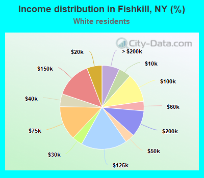 Income distribution in Fishkill, NY (%)