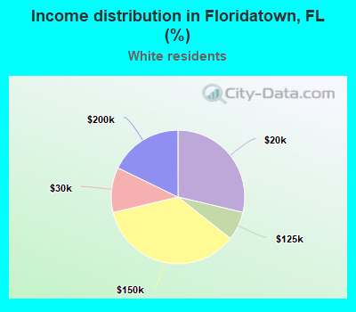 Income distribution in Floridatown, FL (%)