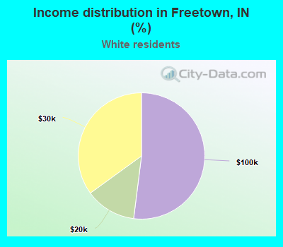 Income distribution in Freetown, IN (%)