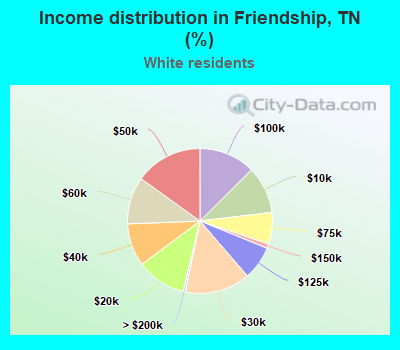Income distribution in Friendship, TN (%)