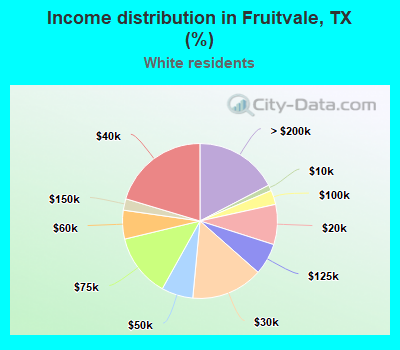 Income distribution in Fruitvale, TX (%)