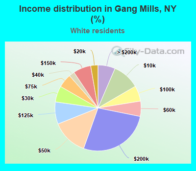 Income distribution in Gang Mills, NY (%)