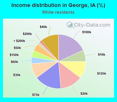 Income distribution in George, IA (%)