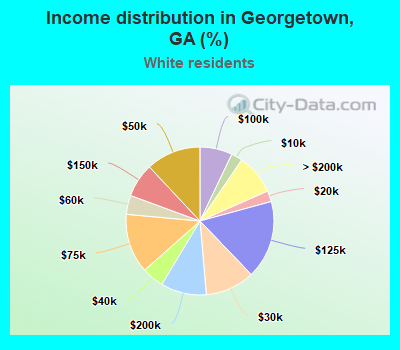 Income distribution in Georgetown, GA (%)