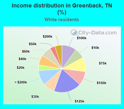 Income distribution in Greenback, TN (%)