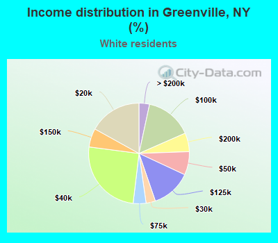 Income distribution in Greenville, NY (%)