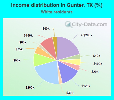 Income distribution in Gunter, TX (%)