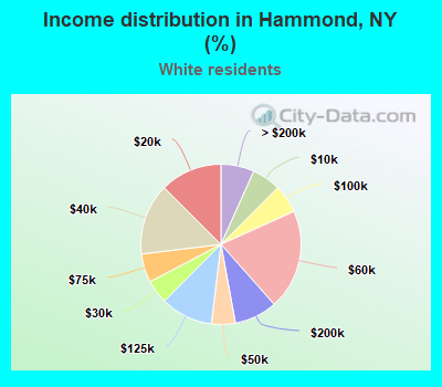 Income distribution in Hammond, NY (%)