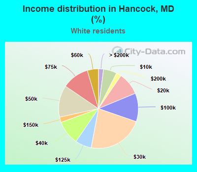 Income distribution in Hancock, MD (%)