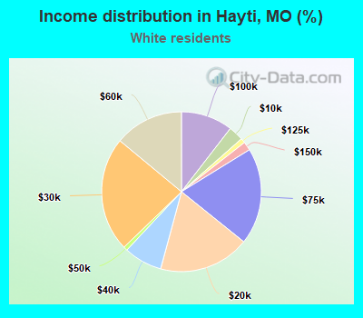 Income distribution in Hayti, MO (%)