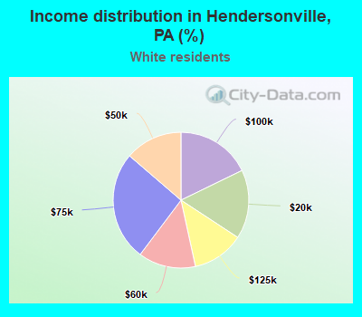 Income distribution in Hendersonville, PA (%)