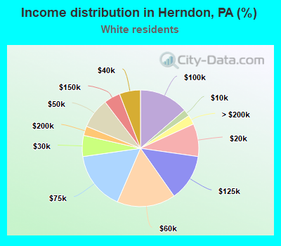 Income distribution in Herndon, PA (%)
