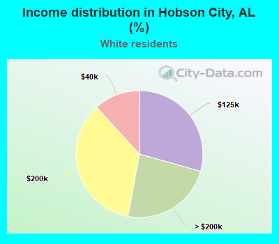 Income distribution in Hobson City, AL (%)