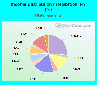 Income distribution in Holbrook, NY (%)
