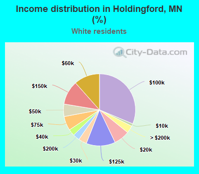 Income distribution in Holdingford, MN (%)