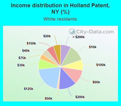 Income distribution in Holland Patent, NY (%)