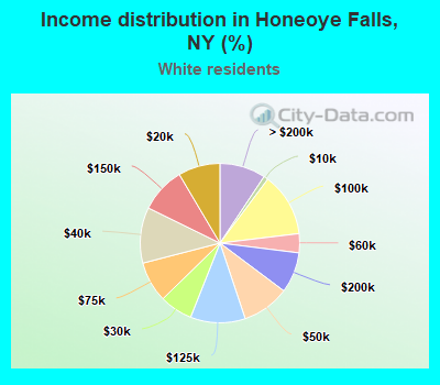 Income distribution in Honeoye Falls, NY (%)
