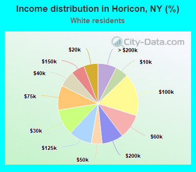 Income distribution in Horicon, NY (%)