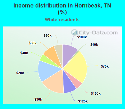 Income distribution in Hornbeak, TN (%)