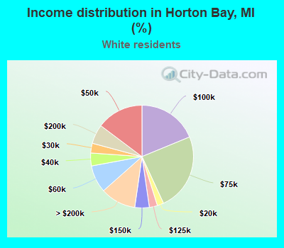 Income distribution in Horton Bay, MI (%)