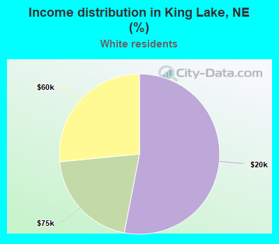 Income distribution in King Lake, NE (%)