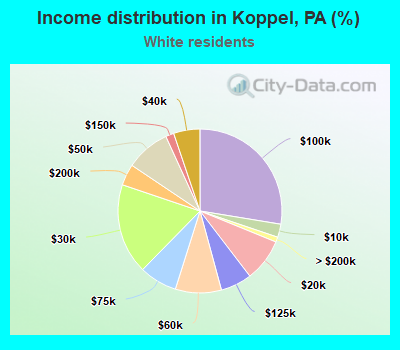 Income distribution in Koppel, PA (%)