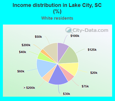 Income distribution in Lake City, SC (%)