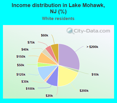 Income distribution in Lake Mohawk, NJ (%)