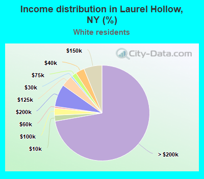 Income distribution in Laurel Hollow, NY (%)