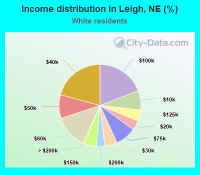 Income distribution in Leigh, NE (%)
