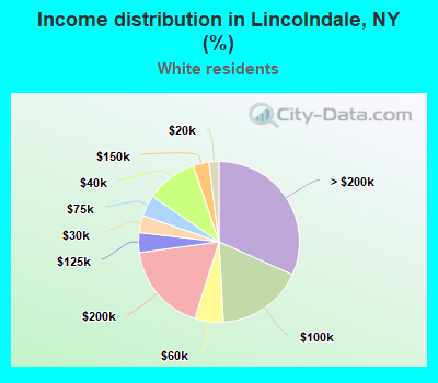 Income distribution in Lincolndale, NY (%)