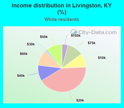 Income distribution in Livingston, KY (%)