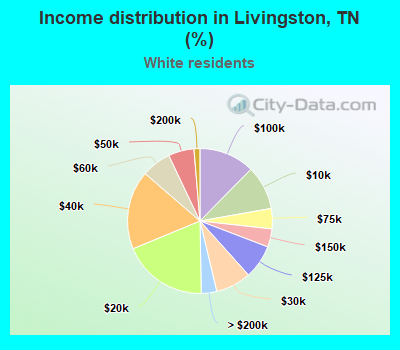 Income distribution in Livingston, TN (%)