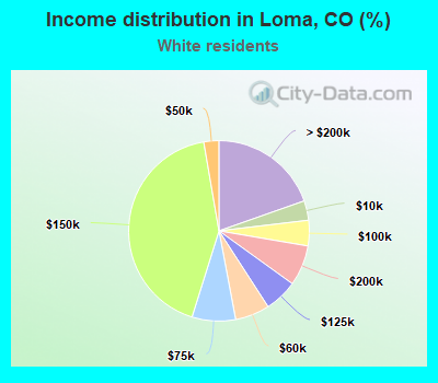Income distribution in Loma, CO (%)