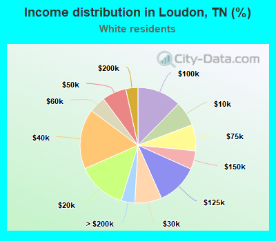 Income distribution in Loudon, TN (%)