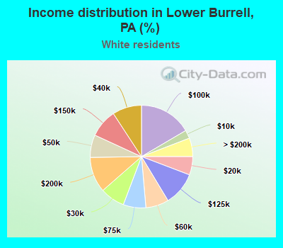 Income distribution in Lower Burrell, PA (%)