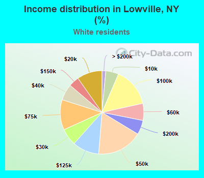Income distribution in Lowville, NY (%)