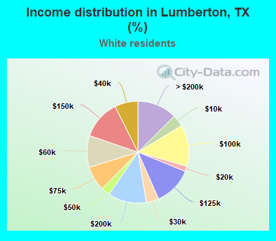 Income distribution in Lumberton, TX (%)