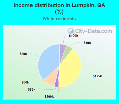 Income distribution in Lumpkin, GA (%)
