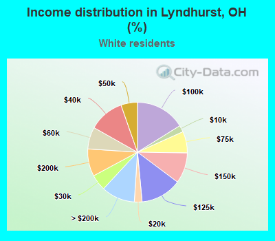 Income distribution in Lyndhurst, OH (%)