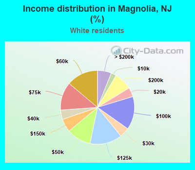 Income distribution in Magnolia, NJ (%)