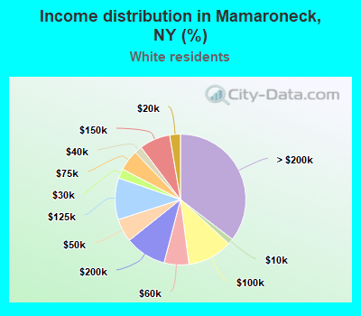 Income distribution in Mamaroneck, NY (%)