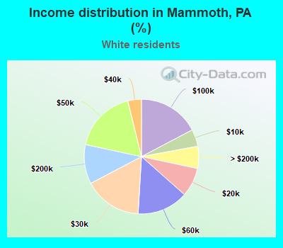 Income distribution in Mammoth, PA (%)