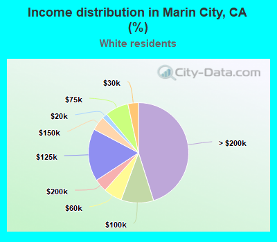 Income distribution in Marin City, CA (%)