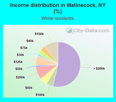 Income distribution in Matinecock, NY (%)