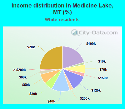 Income distribution in Medicine Lake, MT (%)